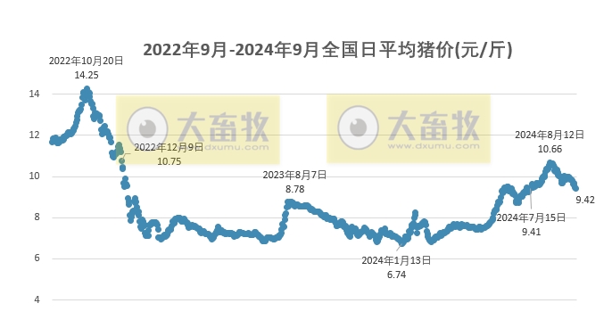 猪市最新行情深度剖析